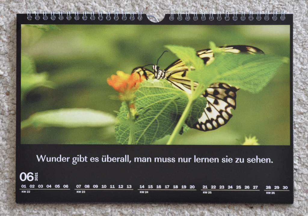 Wandkalender